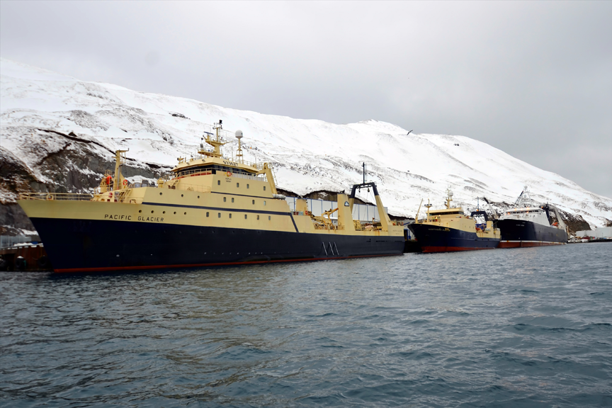 Vessels_1 Glacier Fish